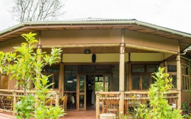 Ichumbi Gorilla Lodge