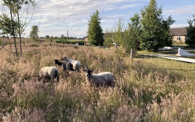 4 Person Holiday Home in Ronne