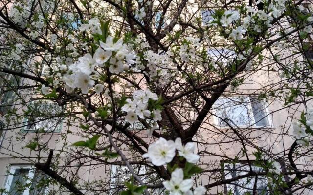 Gesztenyés Apartman