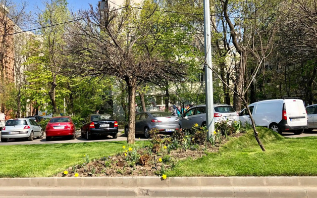 Cozy and Clean Apartment, near National Arena