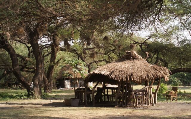 Lake Natron Tented Camp