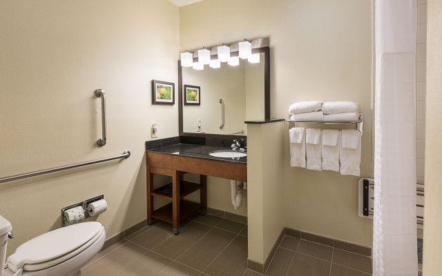 Comfort Suites Saginaw