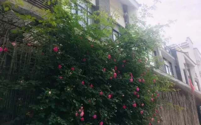 Jiangyuan Impression Guesthouse