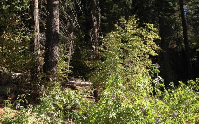 Summer Wonderland (Wonderland Four-Plex)