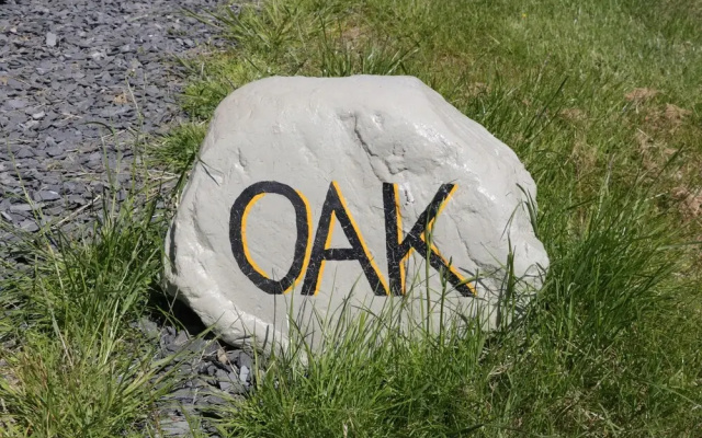 Oak