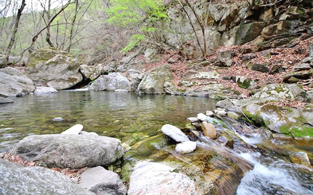 Yangpyeong Plus Pension