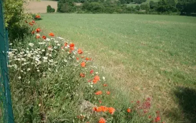 M. Clemenceau - Les Maisonnettes de la Maneliére