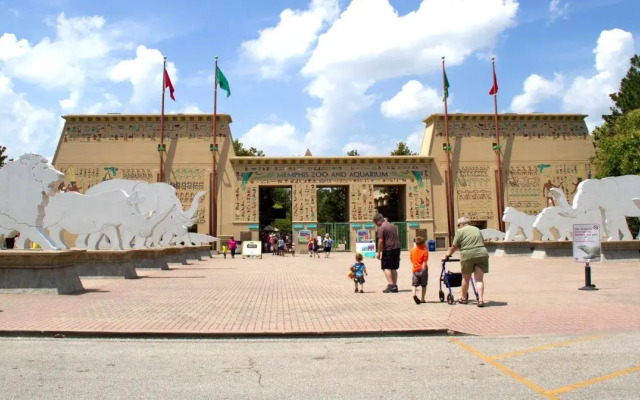 Staybridge Suites Memphis - Poplar Ave East by IHG