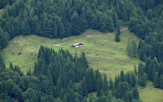Serene Apartment in Fieberbrunn Tyrol near Ski Area