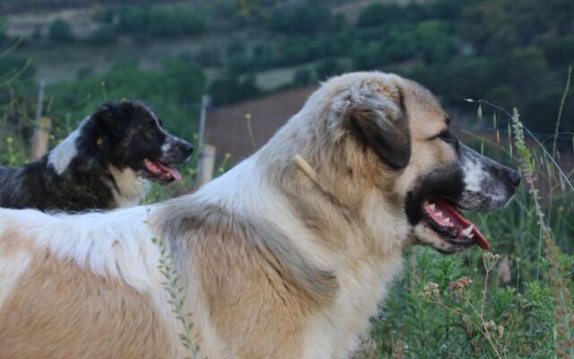 La Roverella Bed  Breakfast