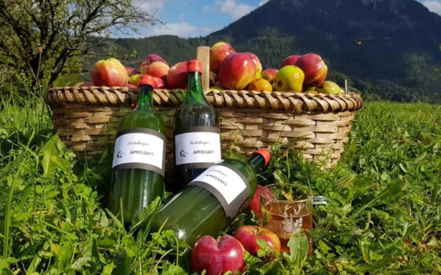 Das Haus am Berg: Nestelberg17