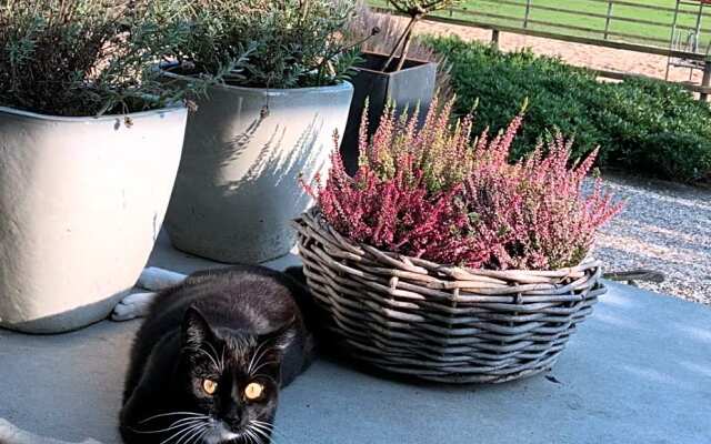 Bed And Breakfast De Paalberg
