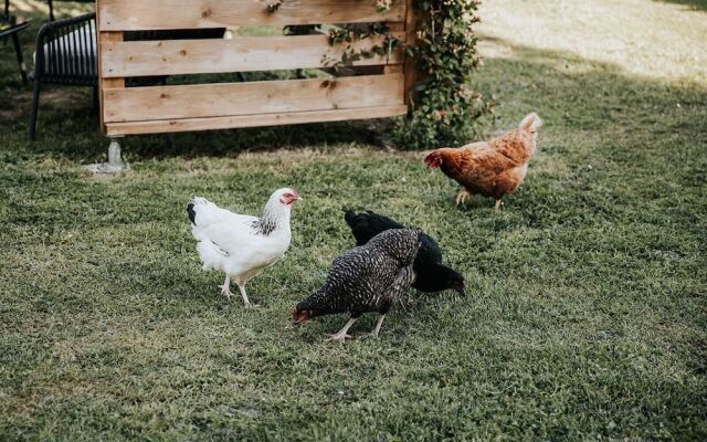 Château La Grande Clotte