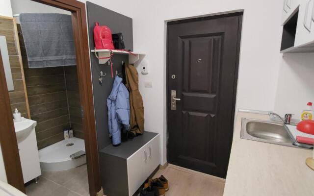 Garsoniera 30mp ChrysFlatty 1 - FREE NETFLIX