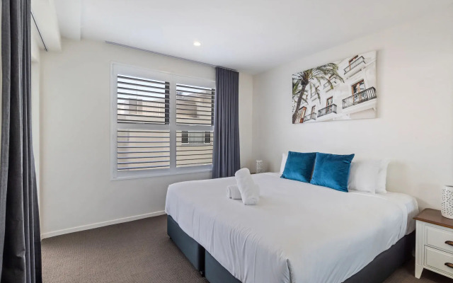 Verve on Cotton Tree