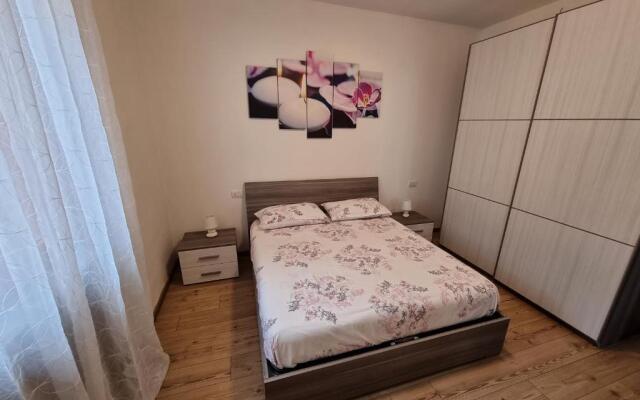 Matteo's House