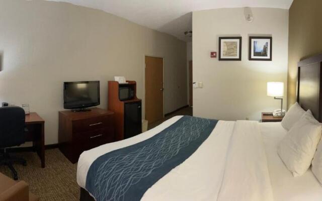 Comfort Inn Downtown - University Area