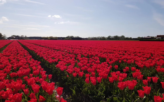 Kust-, fiets-, wandel-, rust- & cultuurlocatie