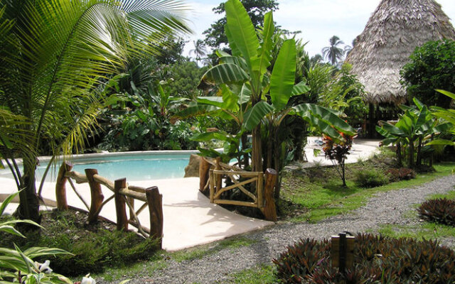 Azania Jungle House One or Two Bedroom with AC near the beach