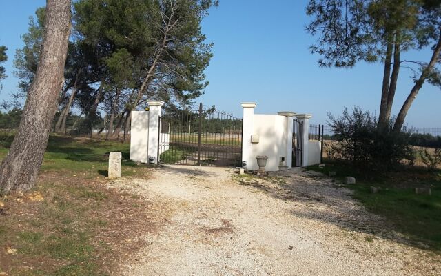 Mas clair de Lune Studios