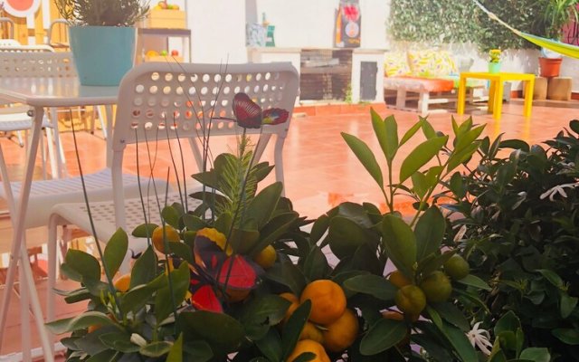 Cascais Terrace Fruit Point - Hostel