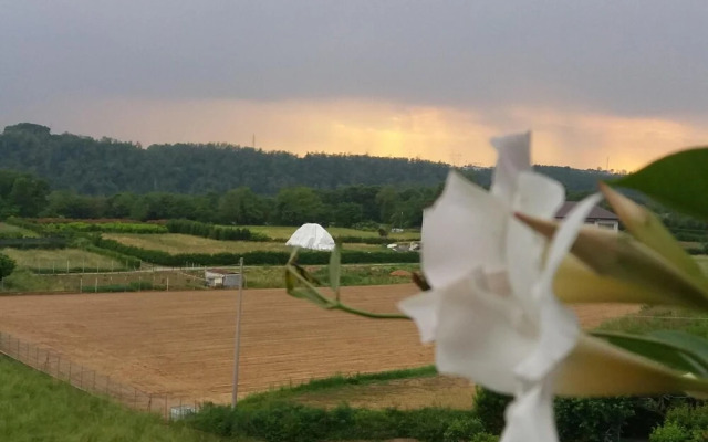 Le Vigne Sull'Adda