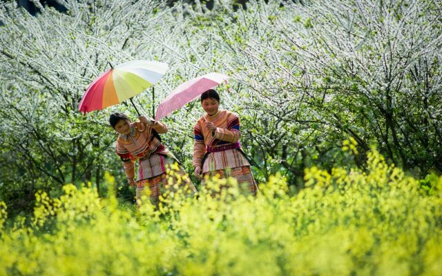 Hôtel de la Coupole - MGallery