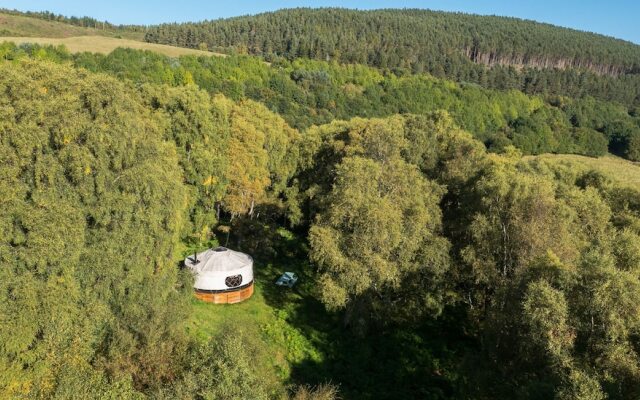 Rowan Yurt - Campsite