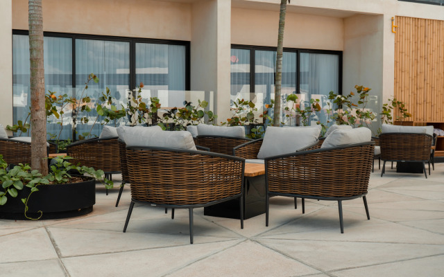 Hive Cancun
