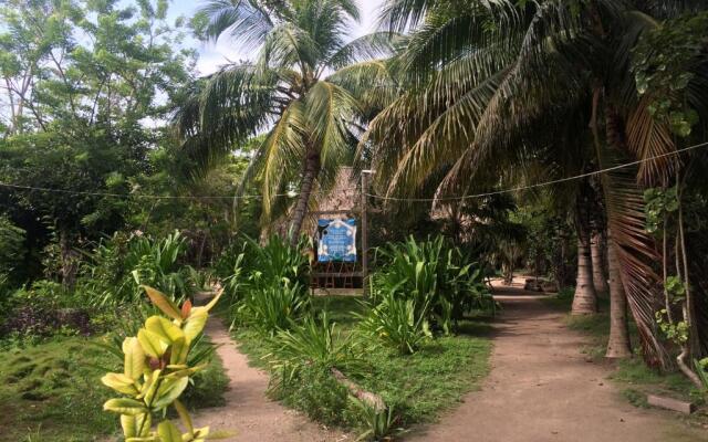 Eco Hotel Las Palmeras