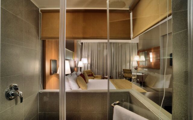 Royal Orchid Central, Vadodara