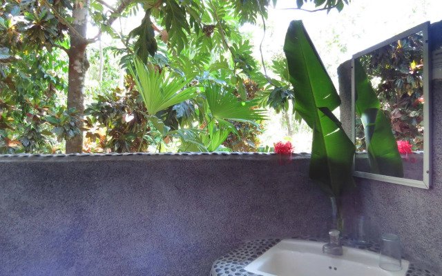 Tiskita Jungle Lodge
