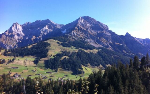 Apartment Krebs Adelboden