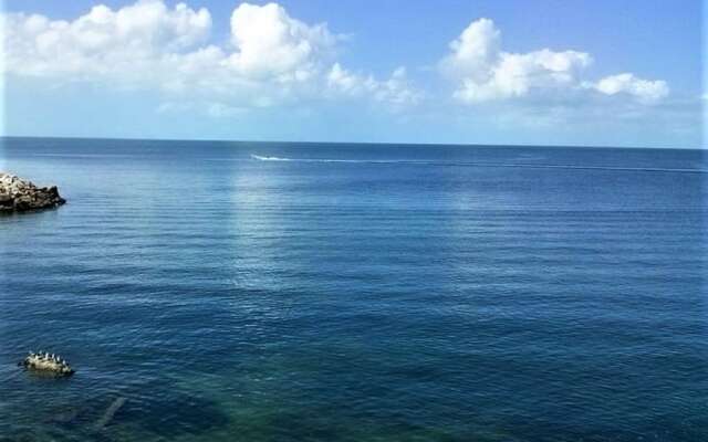 Kaeli's Caribbean Studios