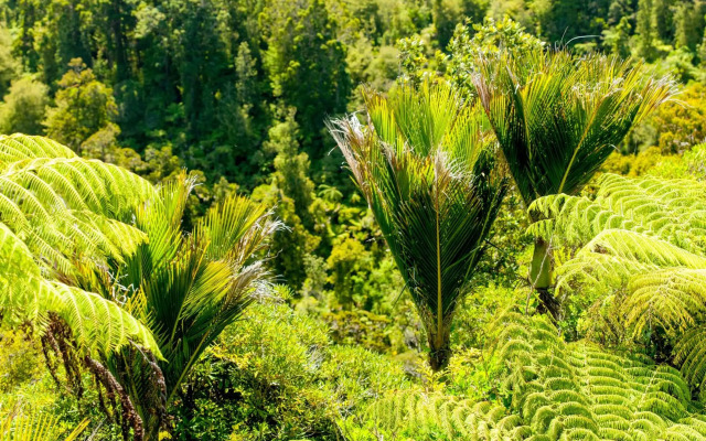 Waitakere Resort & Spa
