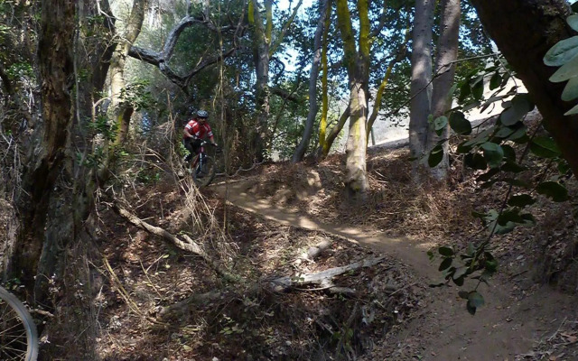 Cabañas Aquario Papudo