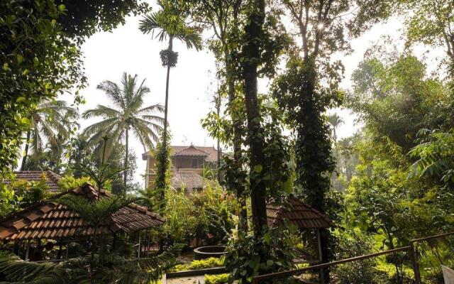 Little Home Resort