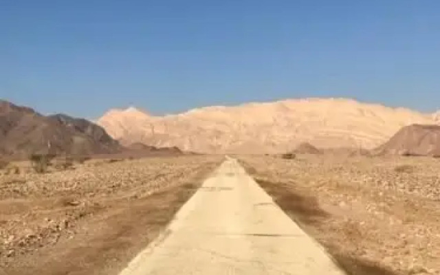 Tamar Ba'Midbar