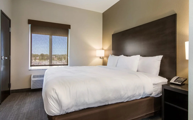 Comfort Suites Brunswick Town Center