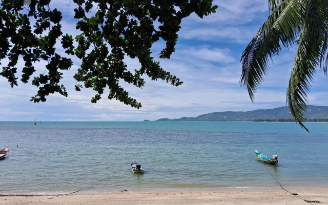 @ Samui Haus