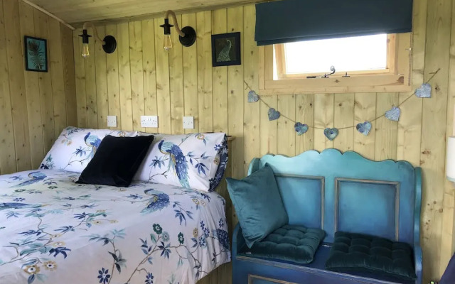 The Peacock Shepherds Hut at Hafoty Boeth