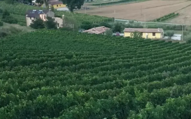 B&B Il Casale Tra I Vigneti