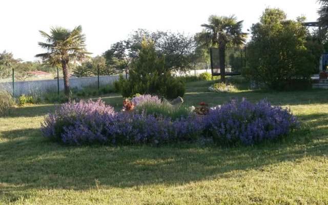 Apartman Tamara Rakalj