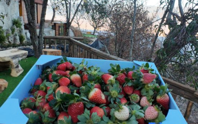 Jianchuan  Shaxi Feng mian · Tong chuan Homestay