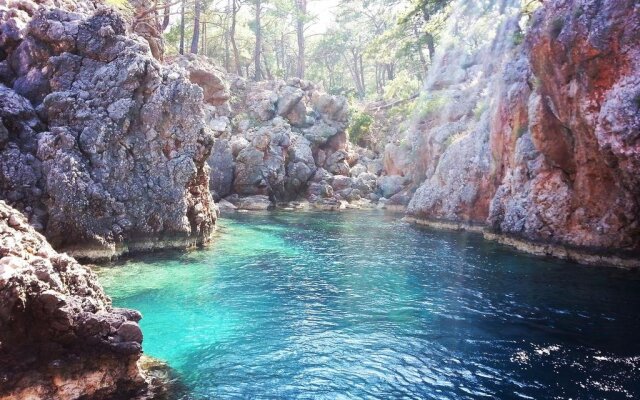 Olympos Deep Green Bungalows