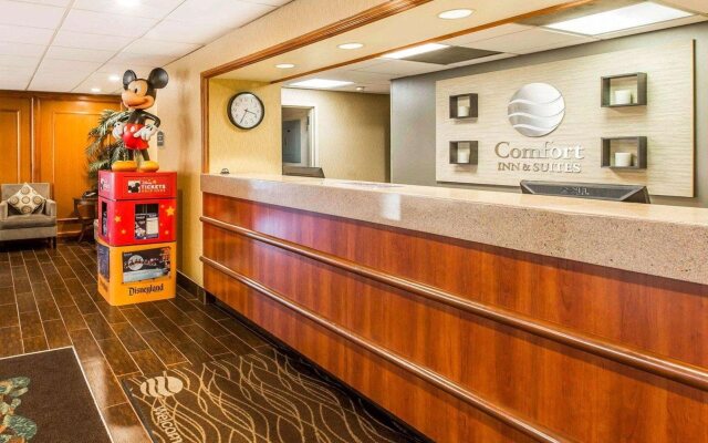 Comfort Inn Anaheim Resort