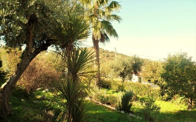 House With 2 Bedrooms In Arraiolos, With Enclosed Garden And Wifi