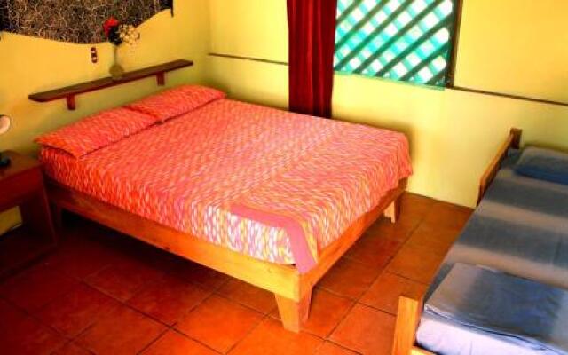 Hakuna Matata Hostel