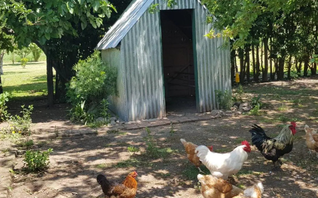 La Monturera, Loft de campo