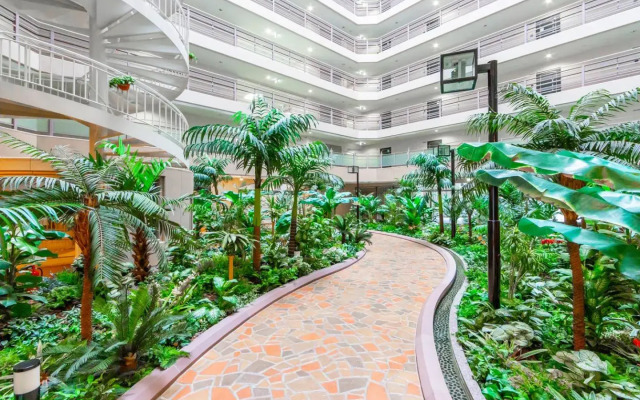 Sapporo BIOS522 Max2Stay